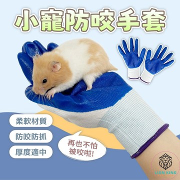【獅子王寵物】🦁小寵防咬手套 防咬防抓 互動手套 防啃 玩耍 安全手套 黃金鼠 三線鼠 倉鼠 訓練手套 B118