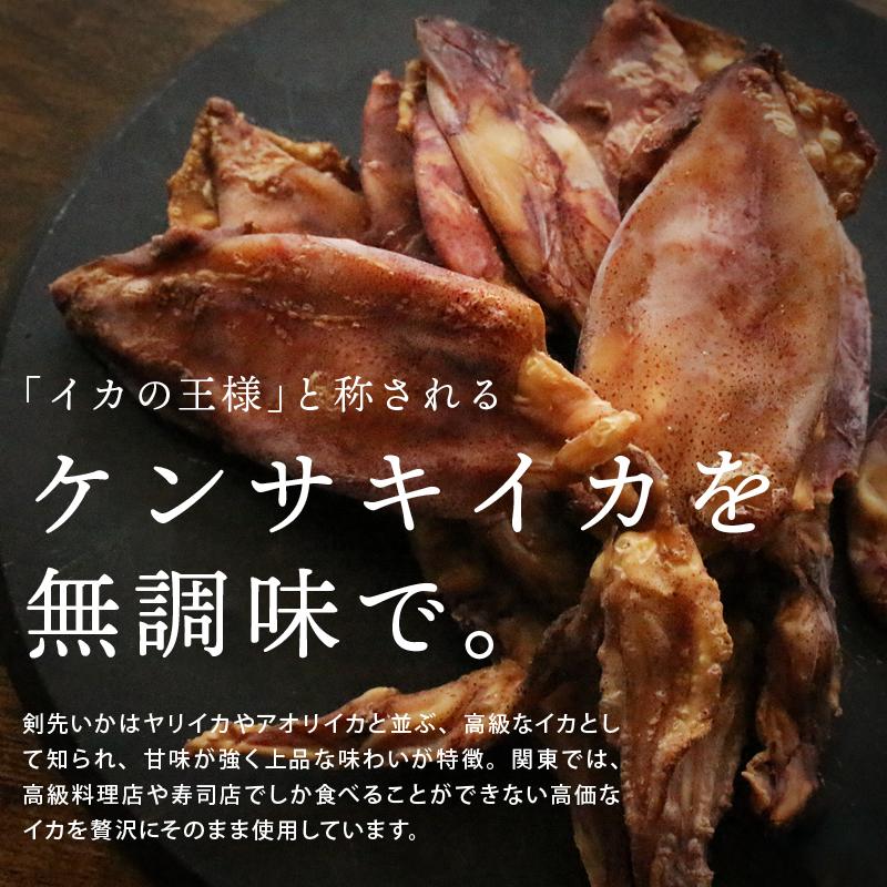 前田家 剣先いか姿焼 80g 無添加 国内加工 おつまみ 保存料不使用 お酒のお供 ビール 肴 つまみ イカ 烏賊 スルメ 珍味 剣先 焼き剣先 おやつ 丸ごと 噛み応え