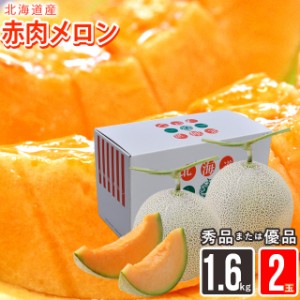 2024年 予約受付中 メロン ギフト 送料無料 北海道産赤肉メロン 約1.6kg×2玉(優品または秀品)   北海道産 道産 メロン めろん フルーツ