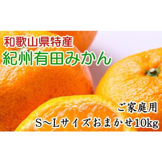 ふるさと納税 和歌山県 有田川町 和歌山有田みかん10kg ご家庭用（S〜Lサイズおまかせ）★2023年11月中旬頃より順次発送