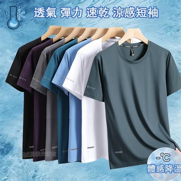 現貨隔日達 涼感衣男大尺碼夏季輕薄冰絲短袖 休閒涼感冰絲上衣 透氣排汗寬鬆運動上衣 彈力速乾工作短袖 短袖T恤男