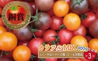 ＜約900g×3回 定期便 ＞カラフルトマト アイメック トマト 5種 MIX フルティカ ＞ましまファーム ミニトマト フルーツトマト 送料無料 糖度訳あり 牧野富太郎博士の好物