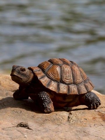 魚缸裝飾造景烏龜擺件戶外花園庭院池塘造景樹脂雕塑擺設仿真動物