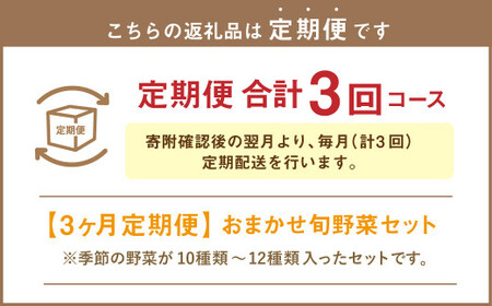 おまかせ旬野菜セット 旬 野菜 セット 北海道 北広島市