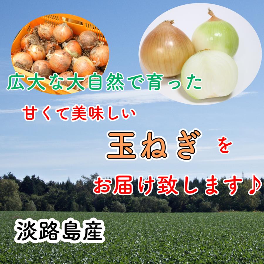 淡路島産 玉ねぎ 5ｋｇ 兵庫県産 たまねぎ 玉葱 タマネギ 常備野菜