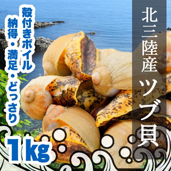 北三陸産 ツブ貝（ボイル）1kg