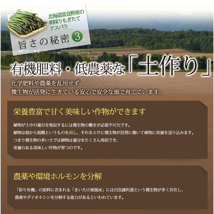 アスパラガス　北海道　富良野産　ハウス栽培　グリーンアスパラ　Lサイズ　１ｋｇ　送料無料