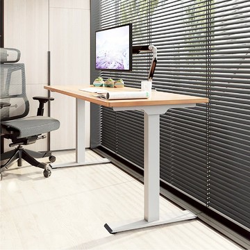 樂歌 三段式雙馬達電動升降桌 USB-C+A快充版 DF1 (120*60cm/原木桌板白桌腳)