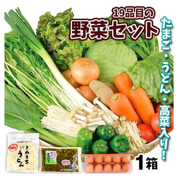 19品目のスペシャル野菜セット 冷蔵便 ご家庭用 送料無料 食品