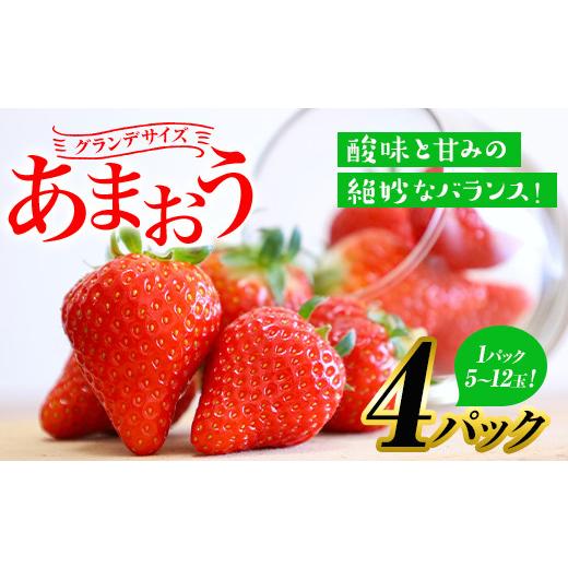 ふるさと納税 福岡県 春日市 ＜先行予約受付中！2024年2月から順次発送予定＞いちごの王様 あまおう グランデサイズ(4パック・1パック：5玉〜12玉…