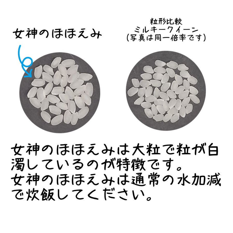 龍の瞳 女神のほほえみ 各2kg 食べ比べ