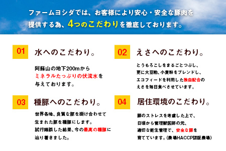 えころとん・豚肉5種(計1160g) バラエティセット《60日以内に順次出荷(土日祝除く)》熊本県産 有限会社ファームヨシダ