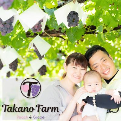 ふるさと納税 山梨市 Takano Farmのシャインマスカット約2kg  ふるさと納税