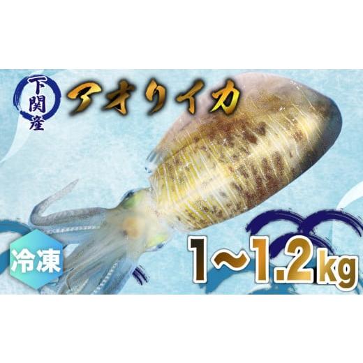 ふるさと納税 山口県 下関市 イカ 約1~1.2kg 冷凍 真空 下処理済み アオリイカ 刺身 天ぷら イカ焼き 烏賊 ゲソ 下関 唐戸市場 直送