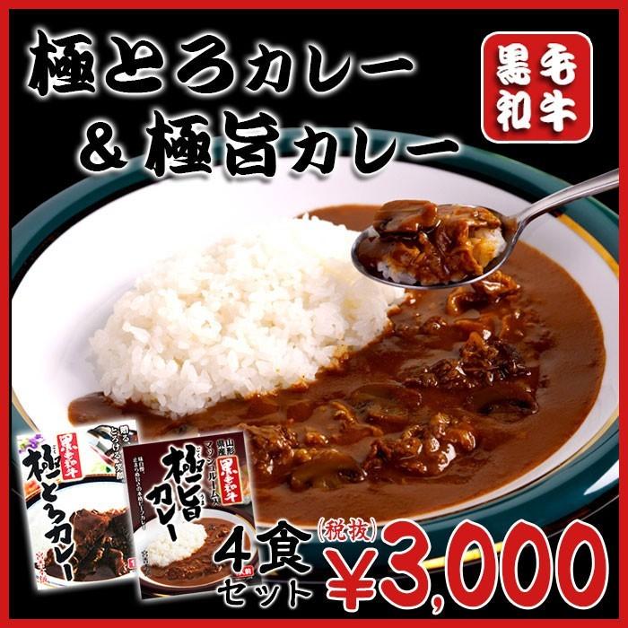 (カレー レトルト 詰め合わせ)宮香本舗 黒毛和牛 極とろカレー極旨カレー 詰合せBセット(レトルトカレー ギフト)