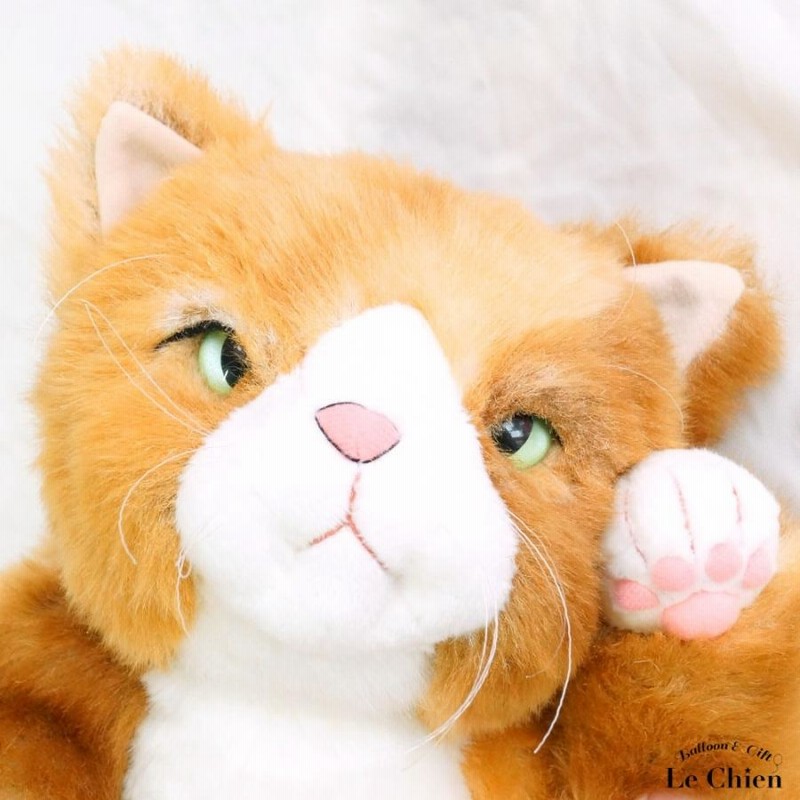 ぬいぐるみ 猫 《わさ美Wasabi》Cuddly(カドリー）こだわりの
