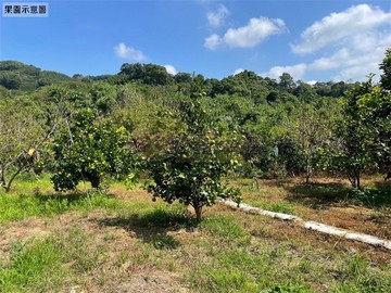 復興休閒渡假屋農地果園｜桃園市復興區基國派