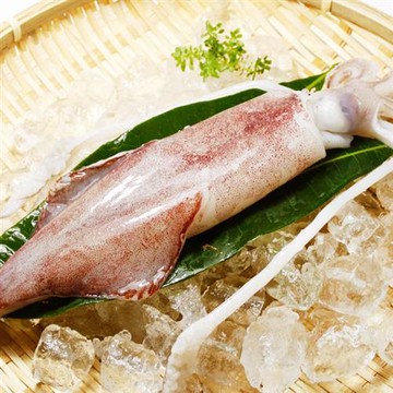 幸福小胖 新鮮現撈活凍透抽 3尾(長21～30cm/300g)