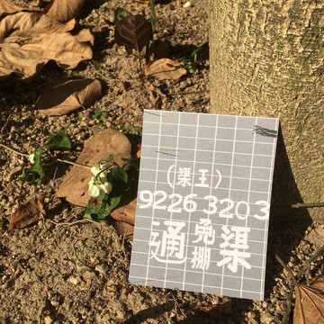 明信片 | #1 渠王
