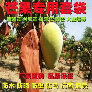 台灣出貨🔥【果農最愛】芒果套袋 雙層防水紙袋 17×27cm 100入 防蟲防日燒 愛文金煌專用