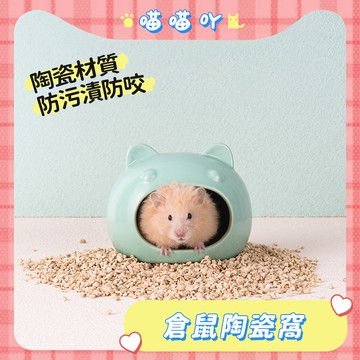 倉鼠窩 陶瓷窩 睡窩 小寵睡窩 倉鼠睡窩 倉鼠用品 倉鼠躲避屋 倉鼠陶瓷屋 貓頭陶瓷窩 倉鼠家 睡窩 倉鼠小窩