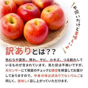 青森県産葉とらずサンふじりんご約5kg