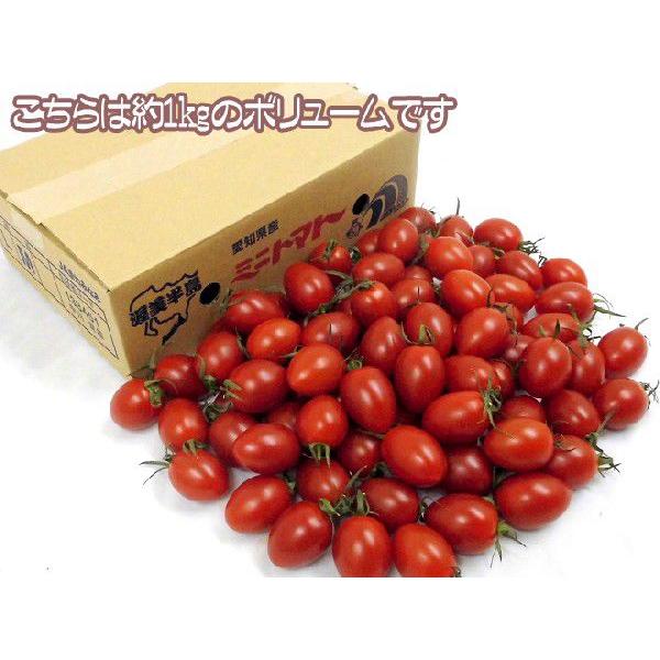愛知県産 ”アイコトマト” 秀品 約3kg 送料無料
