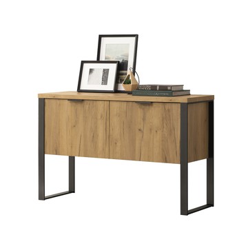 雅博德雙門櫃 黃金橡木色120x39.5x76.2cm