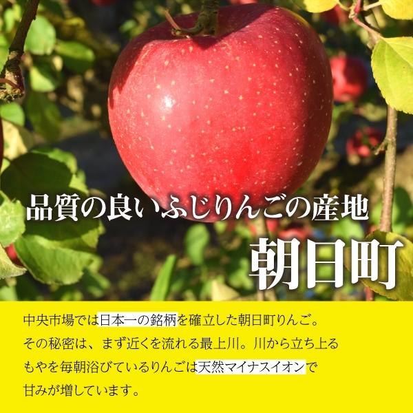 山形県 りんご サンふじ 和合りんご 訳あり 家庭用 5kg 朝日町 12月上旬〜順次発送