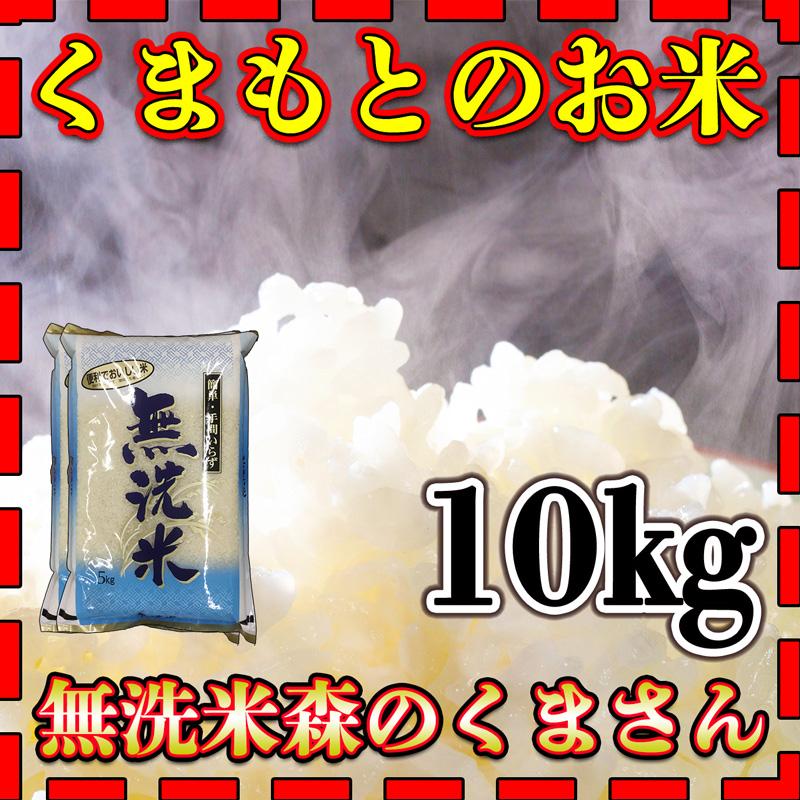 お米 米 10kg 白米 無洗米 熊本県産 森のくまさん あすつく 新米 令和5年産 5kg2個 くまもとのお米 富田商店 とみた商店