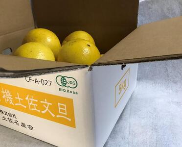 無農薬JAS有機栽培文旦　5kg（家庭用）