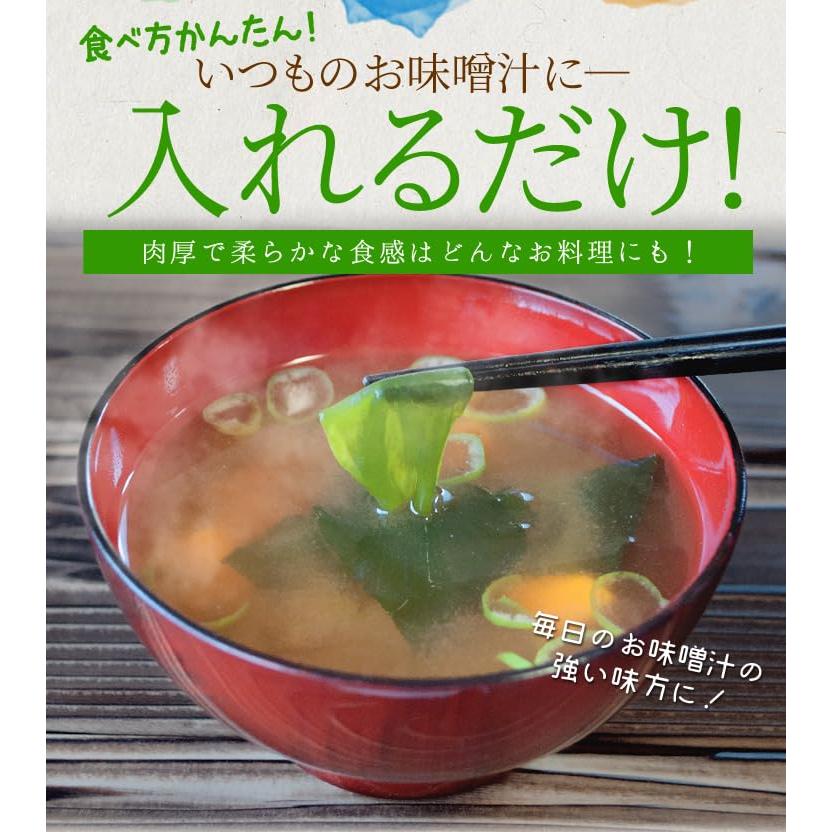 カット わかめ １００ｇ 三重県 伊勢志摩産 乾燥 ワカメ 国産 チャック付袋入り 無添加 配送