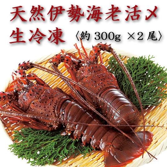 天然伊勢海老活〆生冷凍　300g×２尾