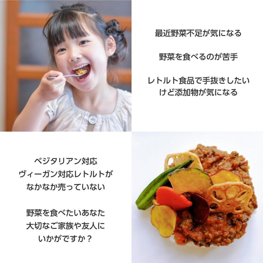 高級 ココナッツカレー 180×1パック│グルテンフリー ベジタリアン対応 ヴィーガン対応 プレゼント ギフト 内祝い 無添加 レトルトカレー カレー 野菜