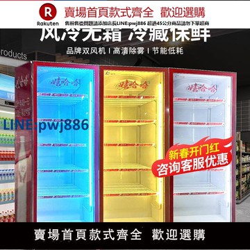 【高品質超低價】加熱制冷飲料冷藏展示柜立式保鮮柜商用大單門雙門超市冰箱啤酒柜