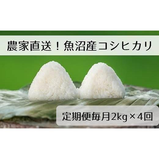 ふるさと納税 新潟県 十日町市 精米2kg　新潟県魚沼産コシヒカリ「山清水米」