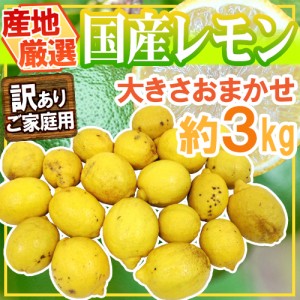 ”完熟国産レモン” 訳あり 約3kg 大きさおまかせ 産地厳選 送料無料