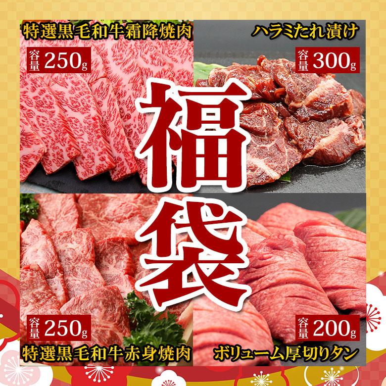 福袋 送料無料 黒毛和牛 霜降り焼肉 250g 黒毛和牛 赤身焼肉 250g ハラミたれ漬け 300g 牛タン 200g お試し 焼肉 福袋 セット 詰合せ