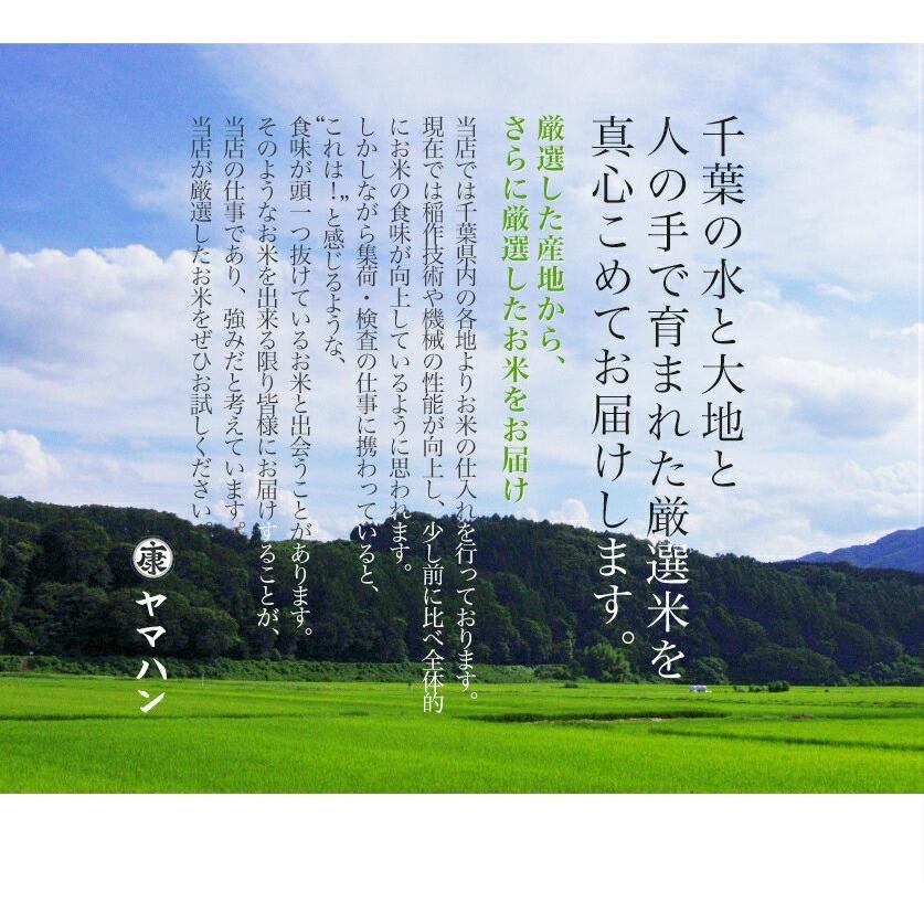 令和5年産 新米 千葉県産コシヒカリ 玄米30kg (10kg×3袋) 精米無料(精米は9kg×3袋)