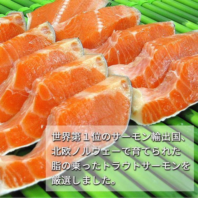 甘塩トラウトサーモン 厚切り10切 送料無料 お取り寄せグルメ 鮭 切り身