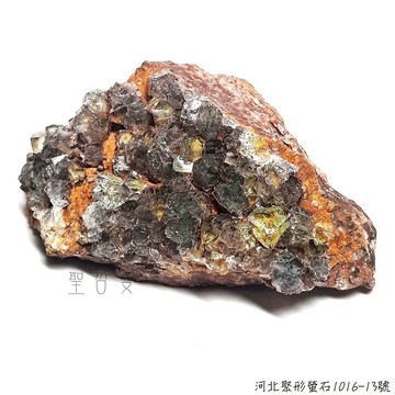 河北聚形螢石1016-13號-地質專業礦洞精選系列 Fluorit 榮耀十字星系列與紫陽花系列(繡球花)