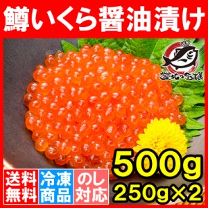 送料無料 イクラ醤油漬け 合計500g 250g×2 北海道製造 鱒いくら 鮭鱒いくら いくら醤油漬け 鱒子 鱒卵 醤油いくら いくら丼 イクラ丼 味