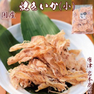 国産 国内加工 厳選 珍味 焼きイカ 小袋 国産 花見 お花見 おつまみ プレゼント 敬老の日 ギフト お祝 プレゼント 珍