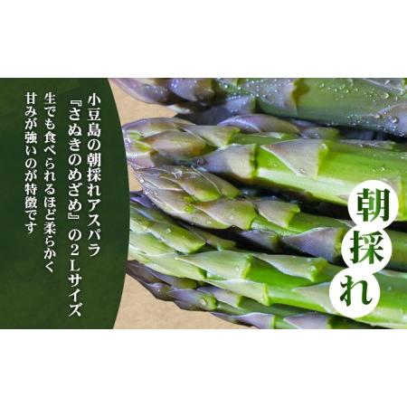 ふるさと納税 小豆島の朝採れアスパラ 『さぬきのめざめ』２Lサイズ１kg　配送期間：２月中旬〜５月中旬まで 香川県土庄町