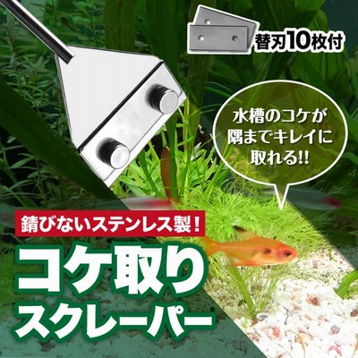 ペット用品 生物 熱帯魚 アクアリウム用品 通販 Lineショッピング