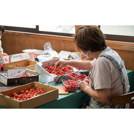 ふるさと納税 《先行予約》贈答用 2024年 山形県産 さくらんぼ 佐藤錦 1kg 特秀 L〜2L 本詰 2024年6月中旬から順次発送 F20A-026 山形県山辺町