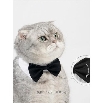 吉仔仔紳士狗狗貓咪寵物裝扮領結領帶項圈飾品蝴蝶結中小型犬貓咪