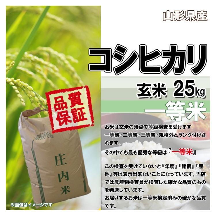 令和5年 山形県産 コシヒカリ 玄米 25kg(5kg×5)（送料無料）