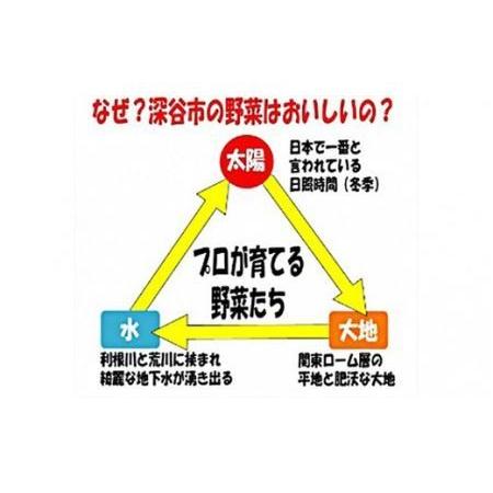 ふるさと納税 ＜１０回定期便＞旬のラッキー７野菜セット（野菜７種詰合せ）　 埼玉県深谷市