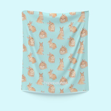 兔子 小兔 毛毯 空調毯 暖暖毯 被毯 披毯 保暖毯 寵物蓋毯